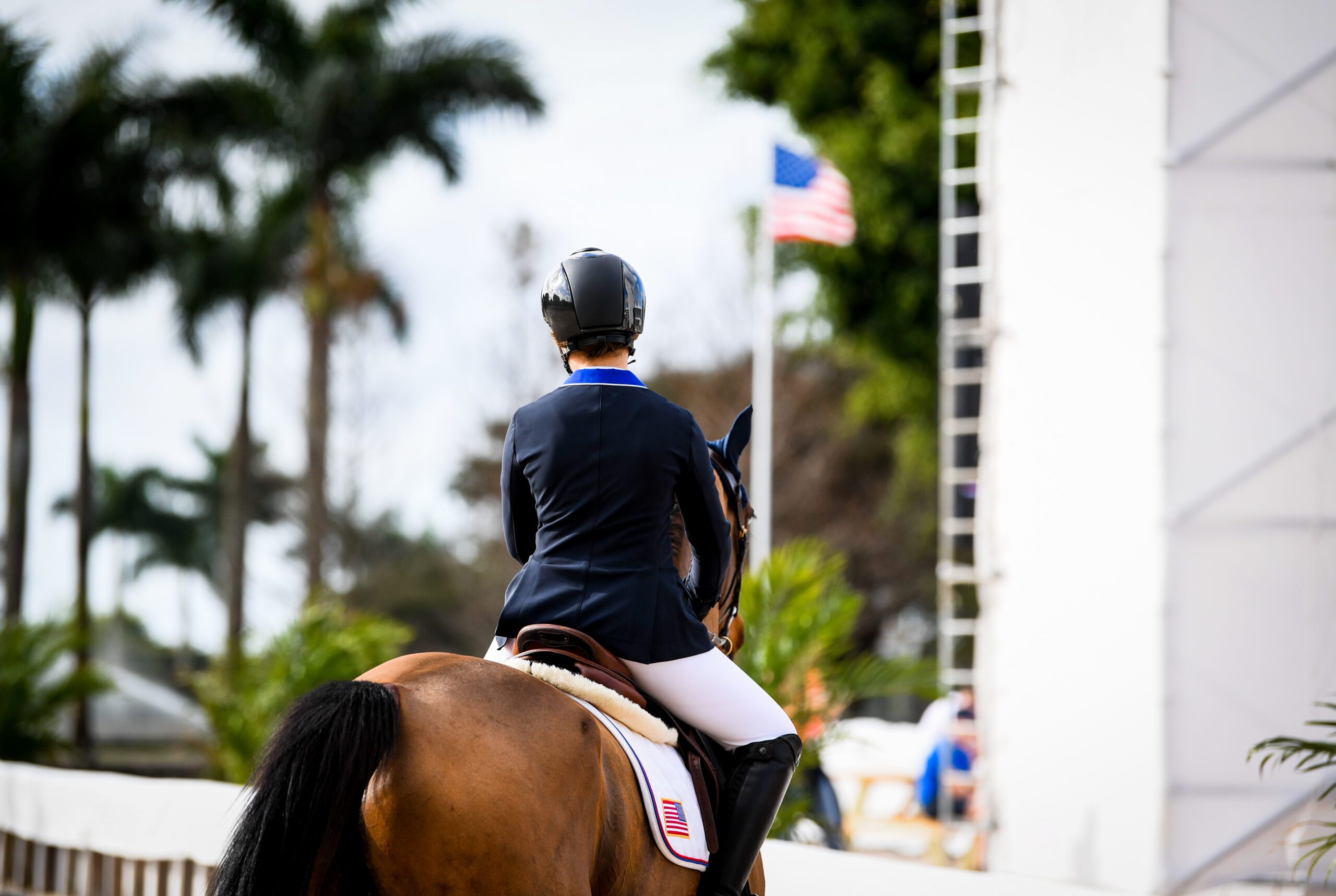 USEF_Attribution_Andrea-Evans_US-Equestrian